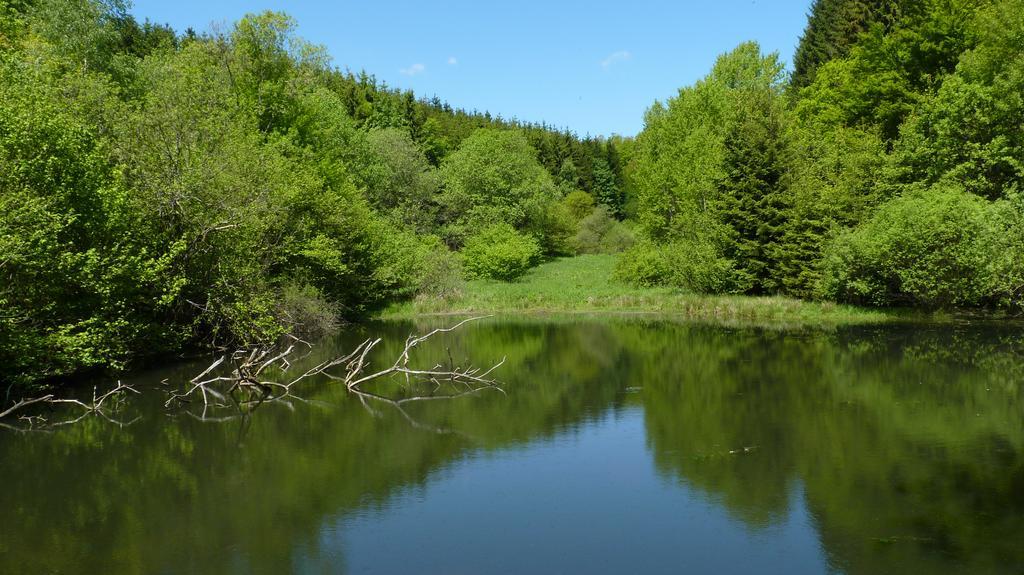 Landidyll Landhaus Liesetal Hallenberg Eksteriør bilde