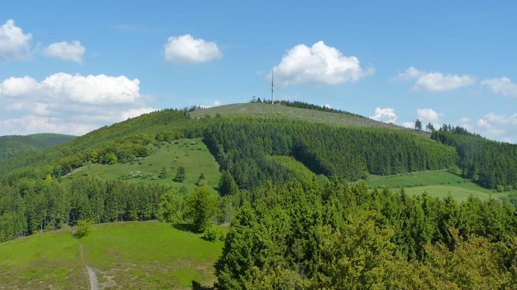 Landidyll Landhaus Liesetal Hallenberg Eksteriør bilde