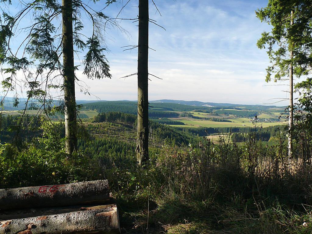 Landidyll Landhaus Liesetal Hallenberg Eksteriør bilde