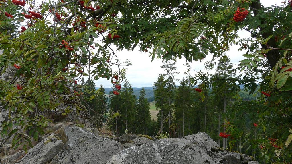 Landidyll Landhaus Liesetal Hallenberg Eksteriør bilde